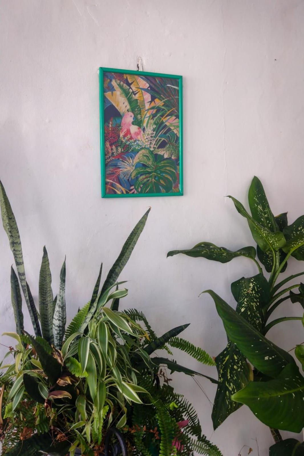 Hostel Residence Girassol Belém Dış mekan fotoğraf